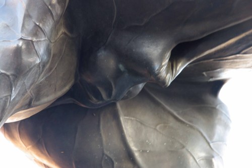 El escroto del caballo que esboza un rostro humano