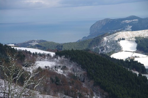 Mañutik antenaruntzko bidetik, itxura berezi hau ikusten zitzaion, gaur, Ogoñori